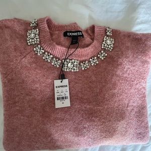 NWT - Pink Express Sweater Size Medium